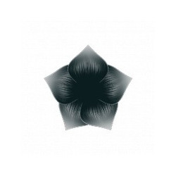 Peinture noire